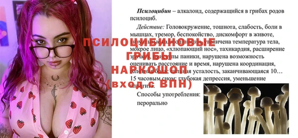 твердый Алексеевка