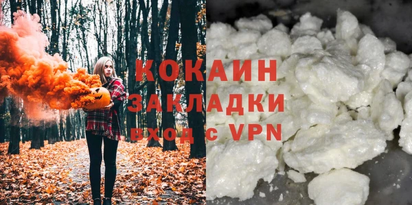 мет Алексин