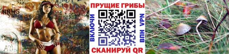 нарко площадка наркотические препараты  Медынь  Галлюциногенные грибы MAGIC MUSHROOMS 
